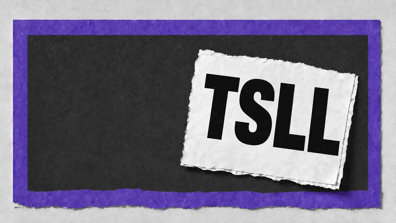 TSLL ETF ($9.82) Doubles Tesla's 2.71% Bounce as Fed Hike Raises the Cost of 2X Leverage