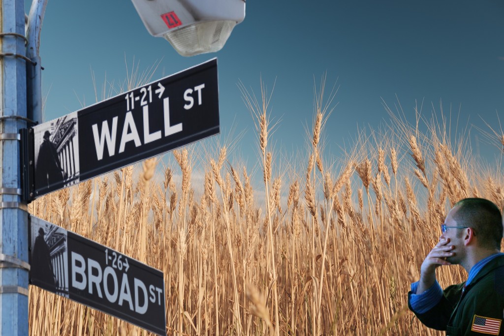 What Are Commodities?
